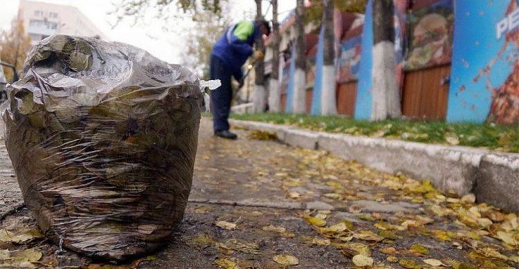 Опавшую листву в Мариуполе «пожирает» специализированный пылесос