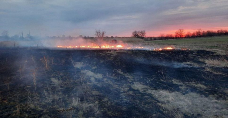 «Ситуация с пожарами ужасает»: на Донетчине резко увеличилось количество возгораний в экосистемах