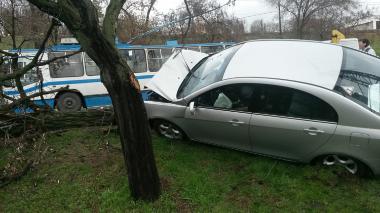 В Приморском районе Мариуполя автомобиль протаранил дерево (ФОТО)