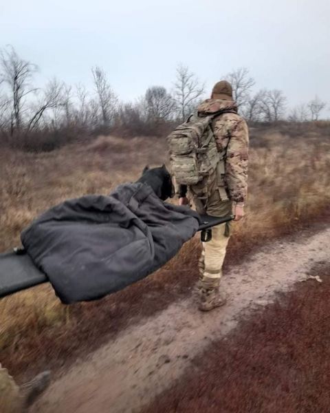 Пес-разведчик отгрыз себе лапу и сбежал от боевиков на Донбассе