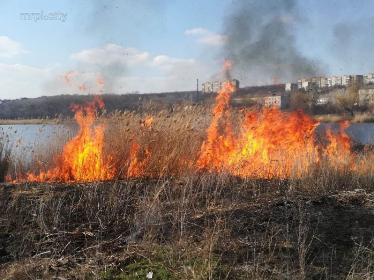 «Горячая» весна: на Донетчине с потеплением увеличилось количество пожаров (ФОТО)