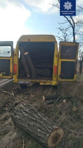 В Мариуполе «на горячем» поймали мужчину, рубившего деревья (ФОТО)