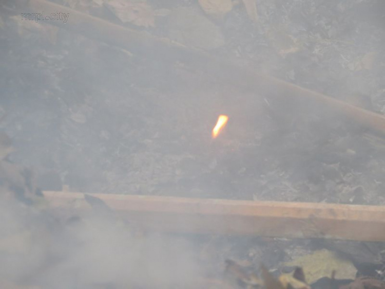 Мариупольцы сжигают листья в центре города, «играя в прятки» (ФОТО+ВИДЕО)