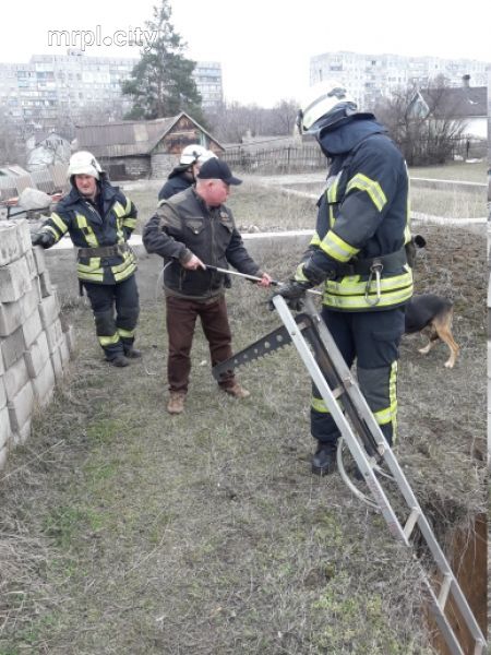 Спецоперация: лестница и петля применены в Мариуполе для спасения животного (ФОТО)