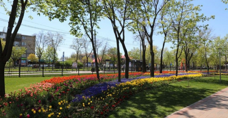 Мариупольская «Веселка» после майских праздников лишилась более сотни цветов