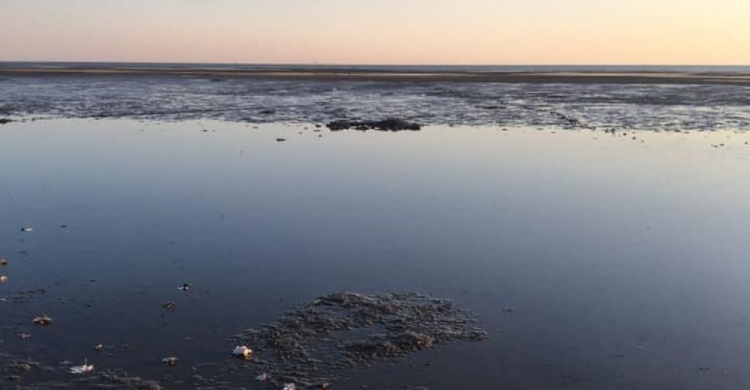 Мариупольцев поразило оголенное морское дно возле пляжа