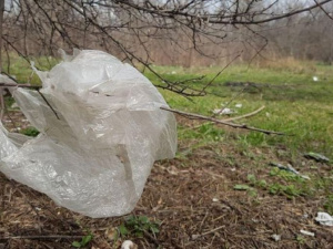 Мариуполь присоединился к борьбе всего человечества с «пластиковой оболочкой» Земли