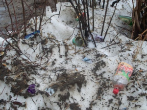 Снег сошел, пластик остался: Украина продолжает утопать в мусоре