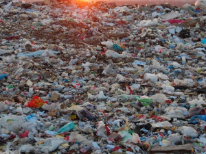 Экологично и экономично: как сделать переработку мусора в Украине выгодной