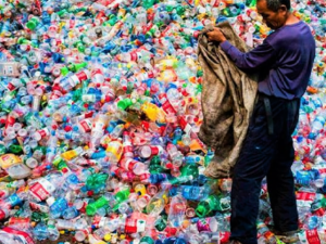 #Непластик: каждая выброшенная бутылка из пластика может убить животное