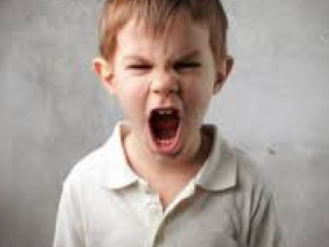 Откуда у детей-сирот привычка кричать по любому поводу?