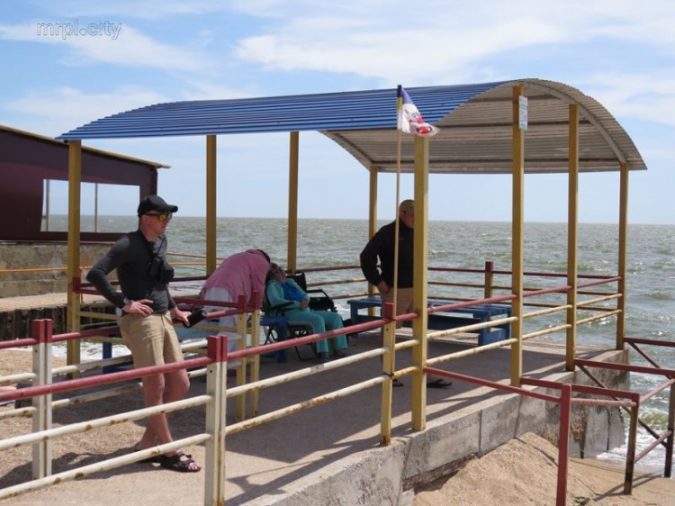 На обновленном пляже для людей с инвалидностью отметились пивные вандалы