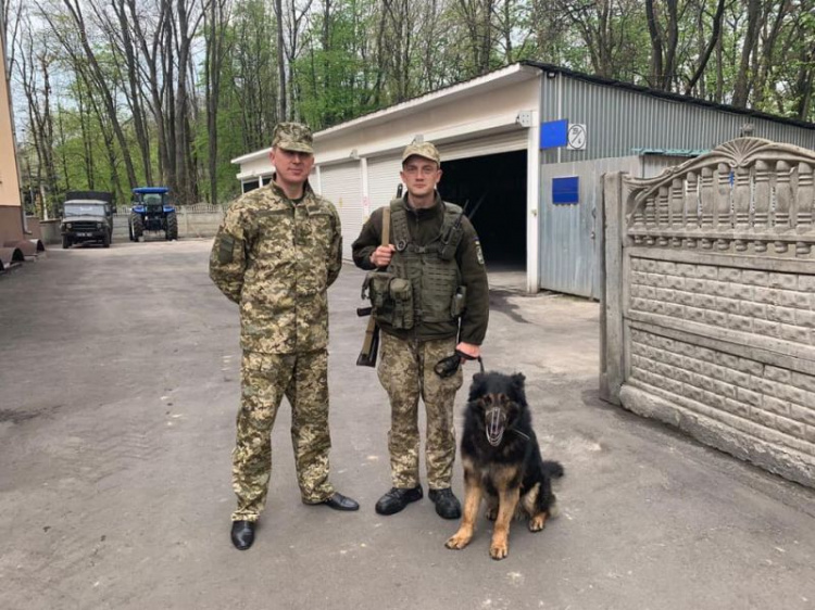 Правоохоронні органи консолідують зусилля для захисту кордонів України